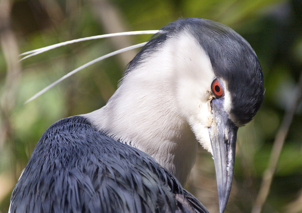 3. Amersfoort - Dierentuin. Kwak